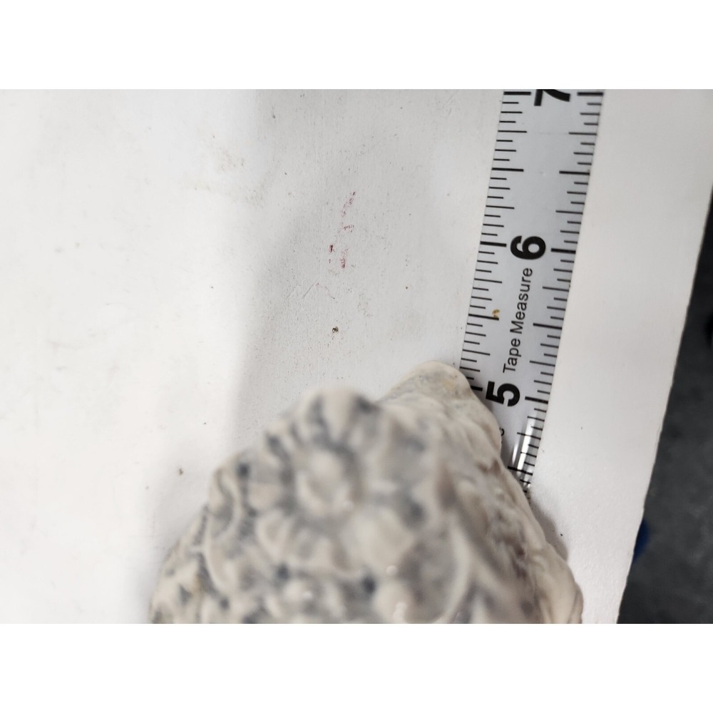 Antique Corday White Porcelain Oval Trinket Box 3D Floral Lid Victorian Rare - Picture 10 of 12